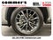 2024 Lexus NX 350 350 Base