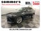 2024 Lexus NX 350h 350h Luxury